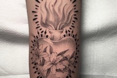 IMG_9964